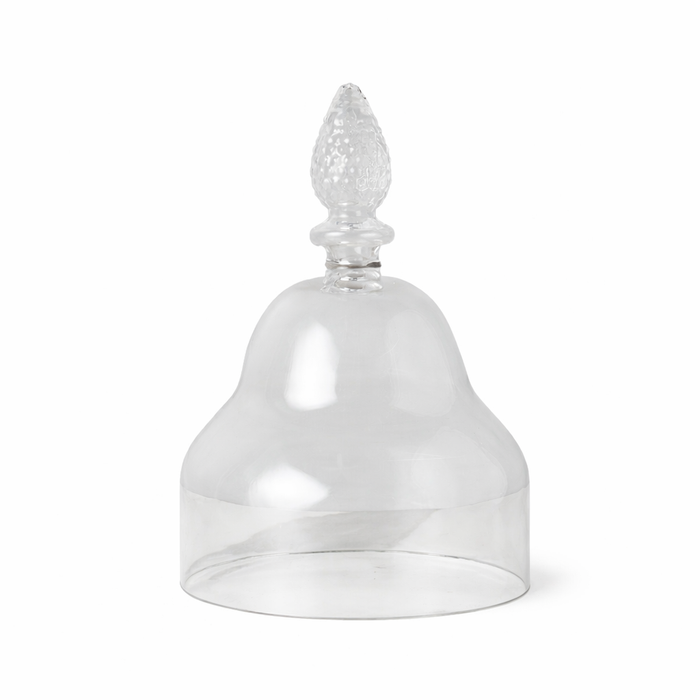 Clear glass bell shape cloche with decorative top on a white background