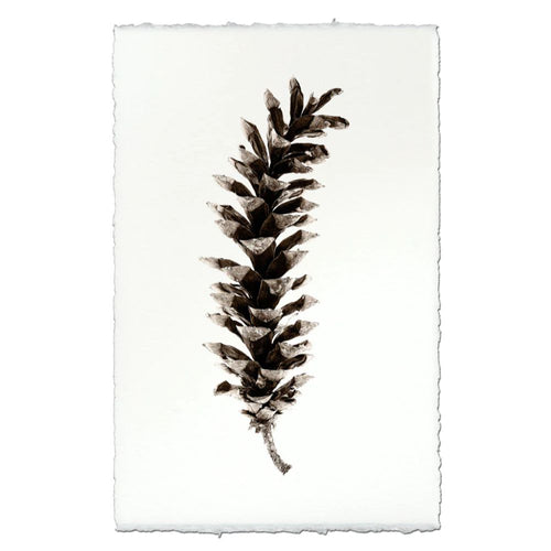 photography handmade paper pinecone natural wall art