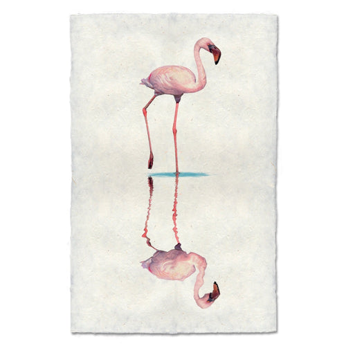 photography wall art flamingo 1
