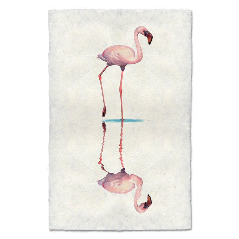 photography wall art flamingo 1