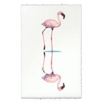 photography wall art flamingo 1