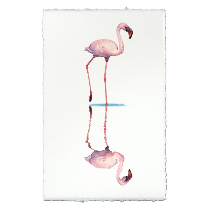 photography wall art flamingo 1