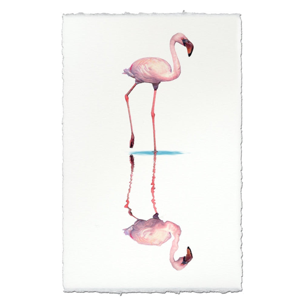photography wall art flamingo 1