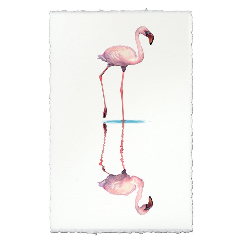 photography wall art flamingo 1