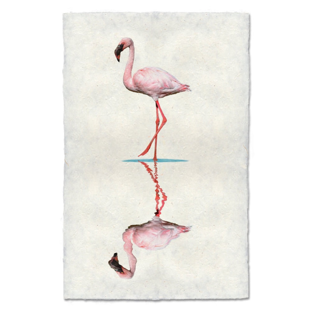 photography art flamingo 2