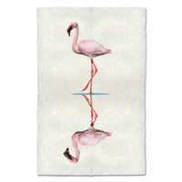 photography art flamingo 2