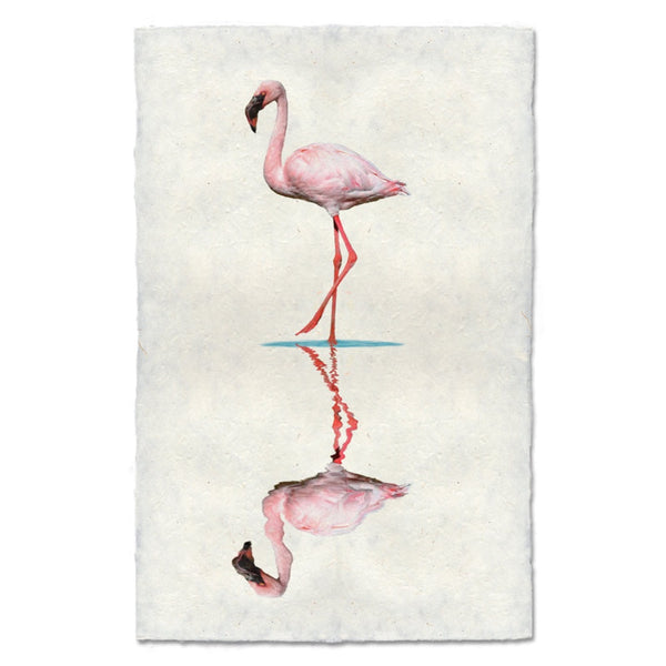 photography art flamingo 2
