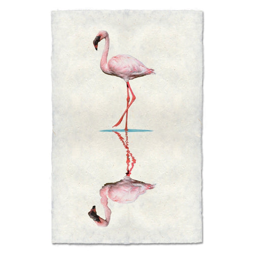 photography art flamingo 2