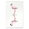 photography art flamingo 2