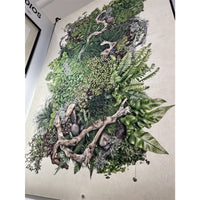 Explore the captivating charm of "Forest Floor Collective Ferns Grand Format Photography Art" by Barloga Studios. This abstract piece highlights vibrant green foliage, branches, and stones set against a textured white background. It is available as custom prints with frameless hanging options for effortless integration into any space.