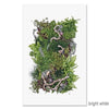 large photography art forest floor collective ferns grand