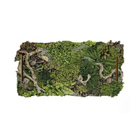 Moss tray with natural elements on a white background