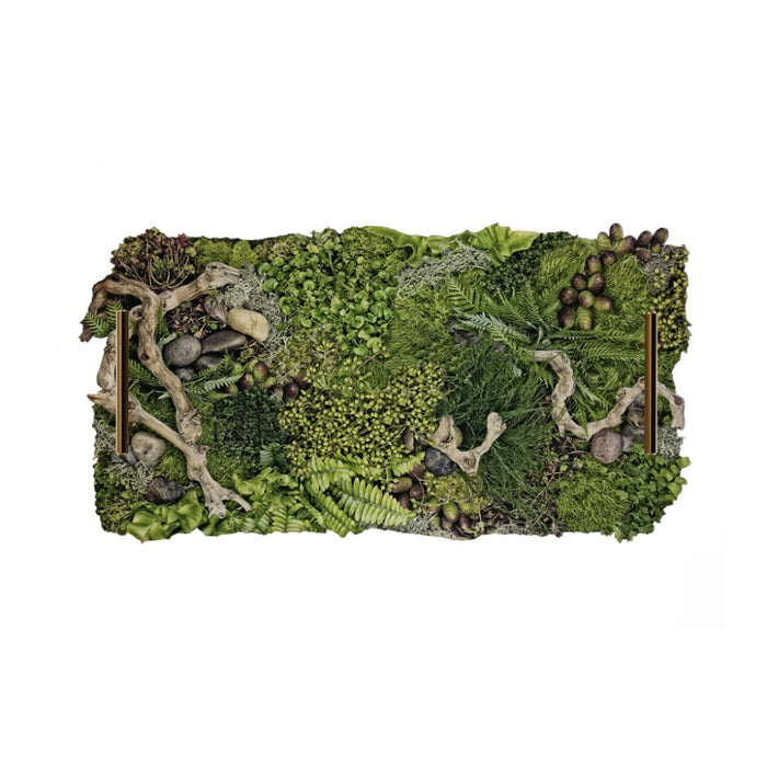 Moss tray with natural elements on a white background