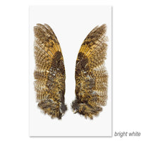 A close-up image from Barloga Studios' "Owl Wings Grand Format Photography Art" (available with paper and hanging options) showcases two symmetrical bird wings spread open against a bright white background. The wings exhibit an intricate pattern of brown, black, and yellow feathers, reminiscent of nature-inspired art pieces.