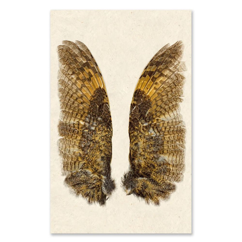The Owl Wings Grand Format Photography Art from Barloga Studios showcases a detailed illustration of bird wings spread symmetrically against a beige background. The wings display a striking pattern of brown and black feathers with yellow highlights, reminiscent of a golden owl. This design captures natural beauty and intricate detail, making it perfect for unique art pieces or custom orders. Available in both paper and hanging options, it is an exquisite addition to any collection.