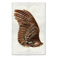A turky bird wing, left wing, displayed on a textured off-white paper background. The wing features intricate patterns of brown, tan, and white feathers.