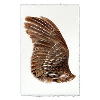 A turkey bird wing left wing, displayed on a sheet of white handmade paper with torn edges. The wing features intricate patterns of brown, tan, and white feathers.