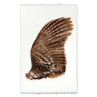 A turkey bird wing, right wing, displayed on a white sheet of textured, hand-drawn paper against a clean white background.