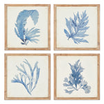 framed watercolor prints natural wood frames coastal decor