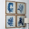 framed watercolor prints natural wood frames coastal decor