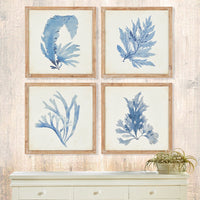framed watercolor prints natural wood frames coastal decor