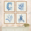 framed watercolor prints natural wood frames coastal decor