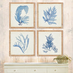 framed watercolor prints natural wood frames coastal decor