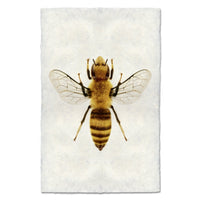 Realistic depiction of a bee on an off white background
