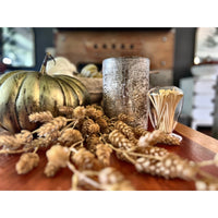 glass hurricane candle and cloche