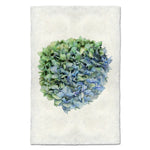 photography handmade paper blue green hydrangea plant