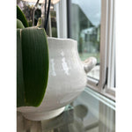 Ceramic Glazed Wellon Footed Cachepot