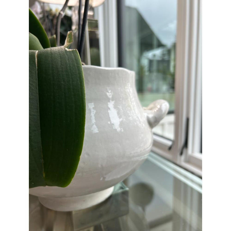 Ceramic Glazed Wellon Footed Cachepot