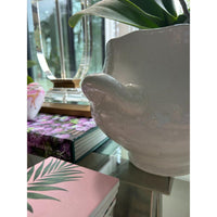 The Ceramic Glazed Wellon Footed Cachepot by Napa Home & Garden sits by books and a lamp, sunlight streaming behind.