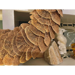 mushroom sponge wreath close up