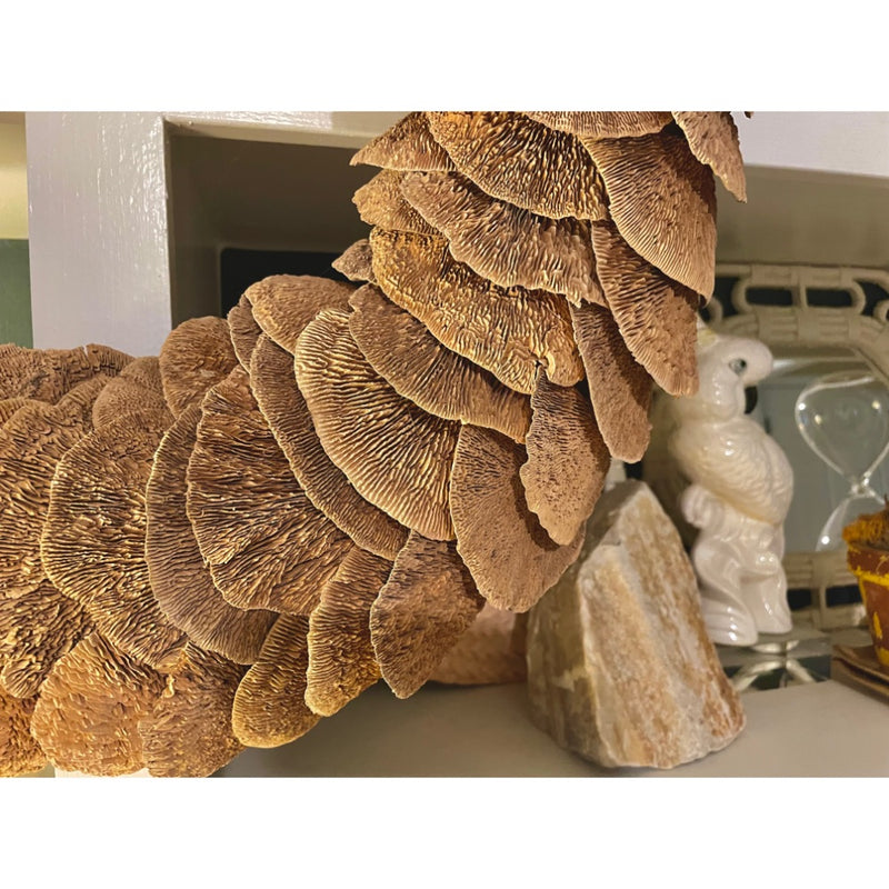 mushroom sponge wreath close up