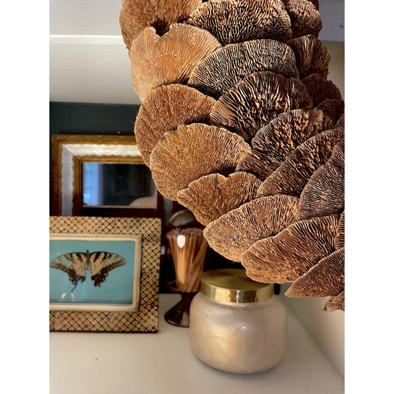 mushroom sponge wreath close up
