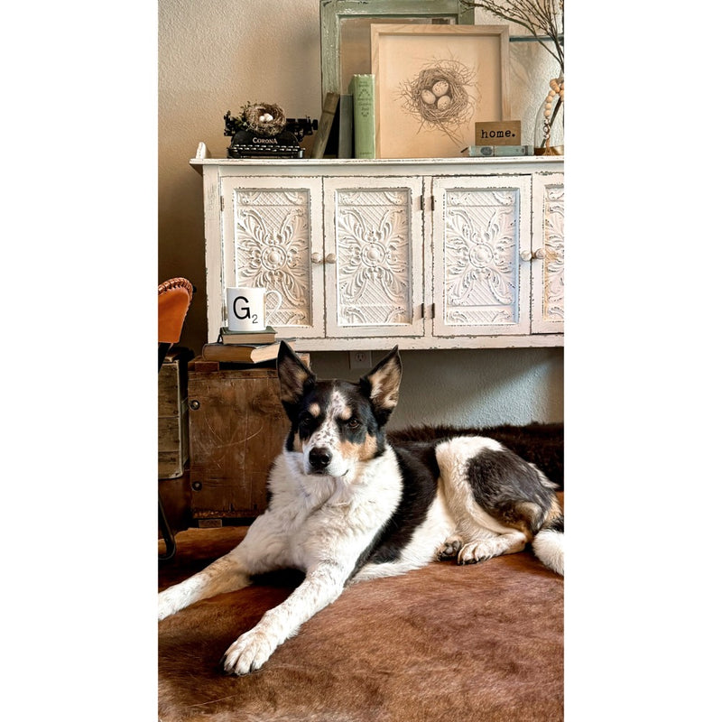 thin wood frame styled on table dog on rug