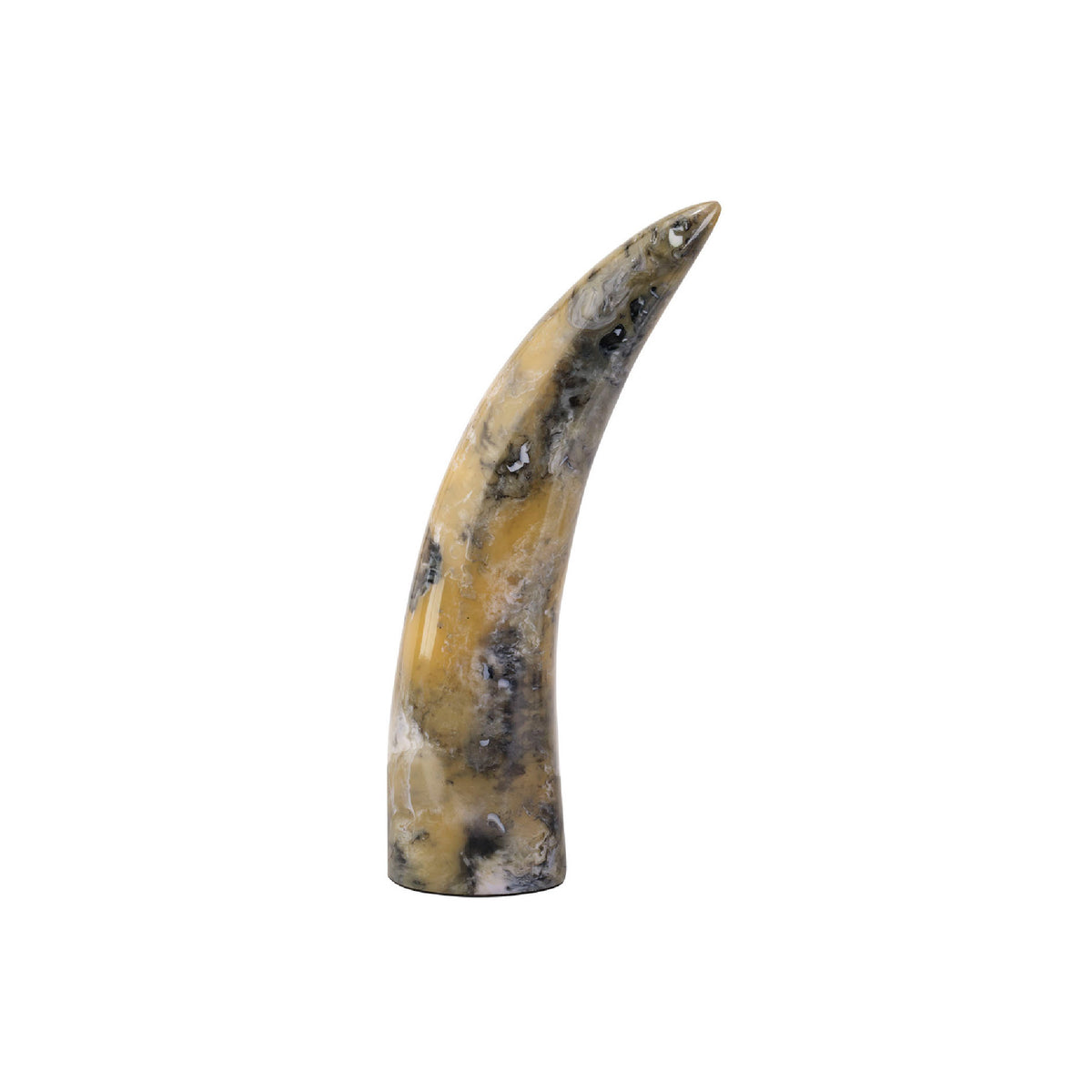 Fossilized horn on a white background