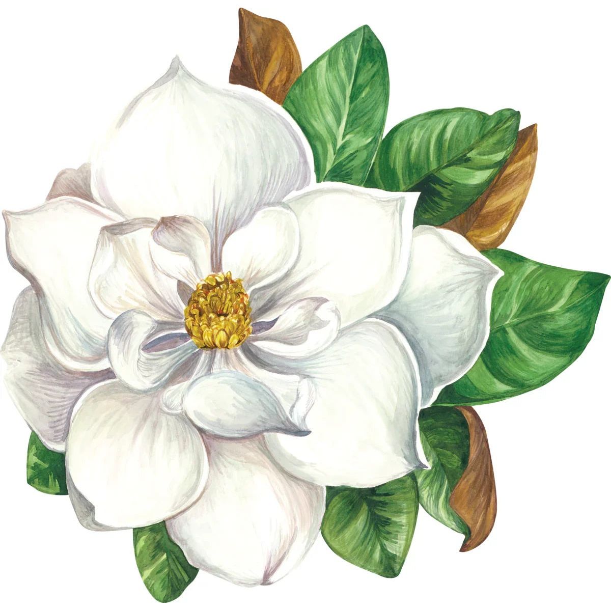 White magnolia with green and brown leaves on Hester & Cook Magnolia Die Cut Paper Placemat, on a white background.