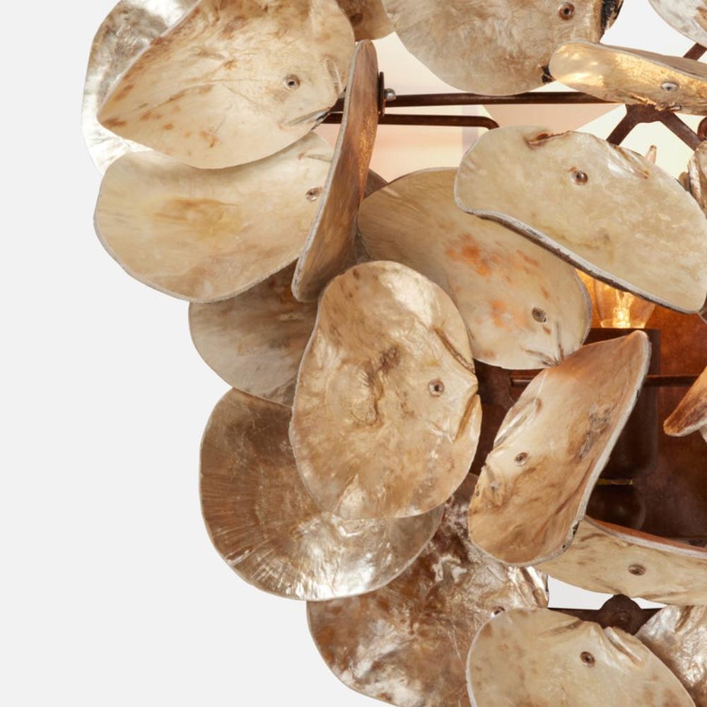 champagne sconce saddle oyster shell 