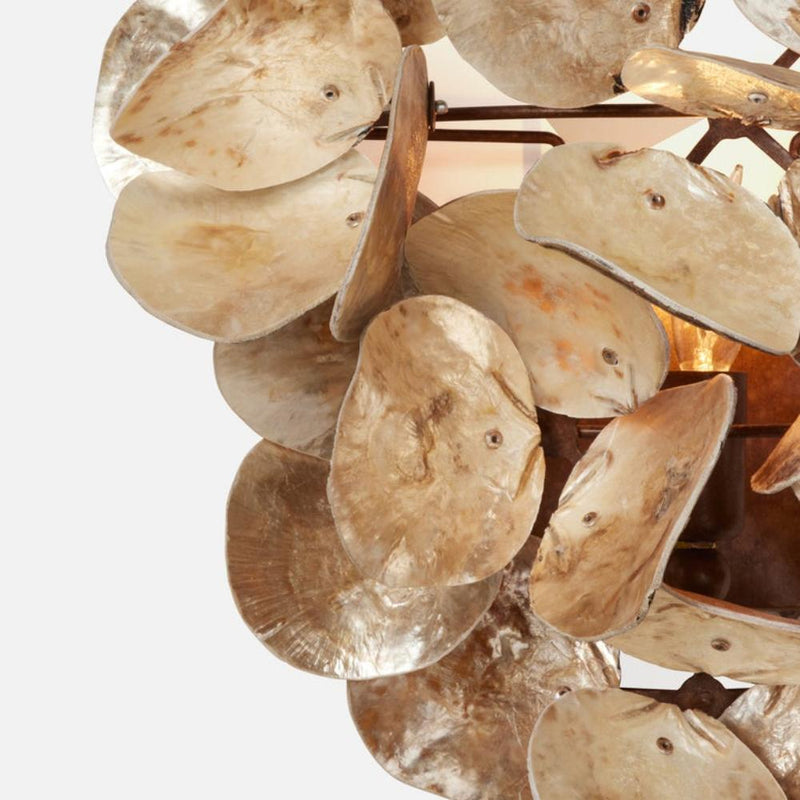 champagne sconce saddle oyster shell 