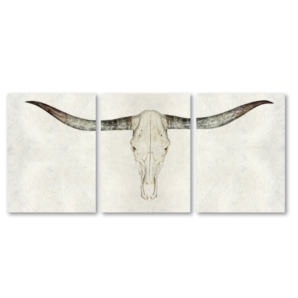 photography wall art longhorn triptych