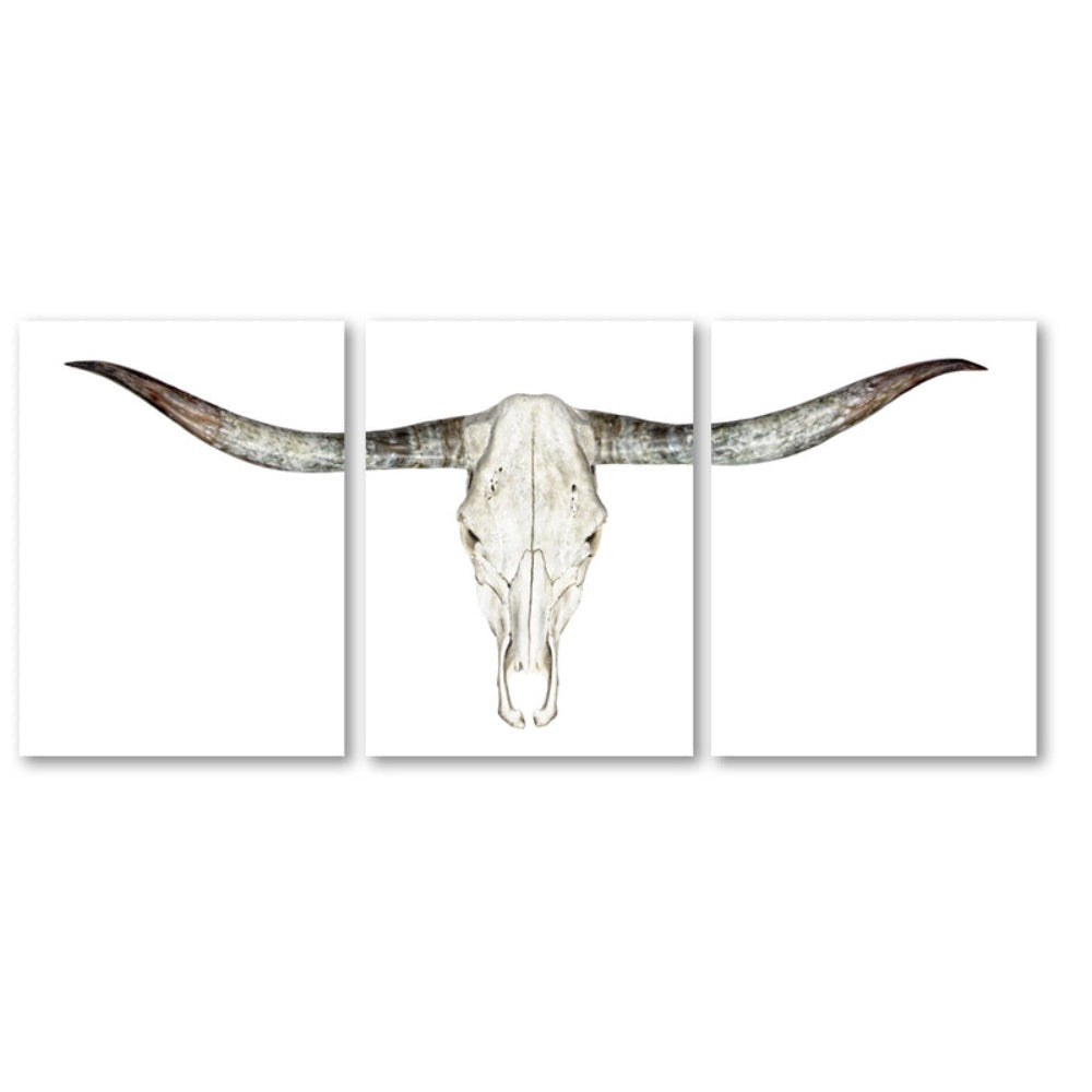 photography wall art longhorn triptych