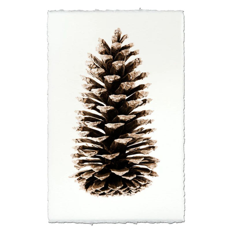photography handmade paper pinecone natural wall art