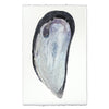 photography art print mussel shell blue white coastal decor