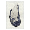 photography art print mussel shell blue white coastal decor