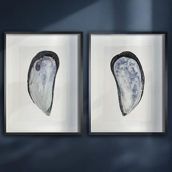 framed art prints of mussel shells