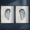framed art prints of mussel shells