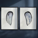 framed art prints of mussel shells