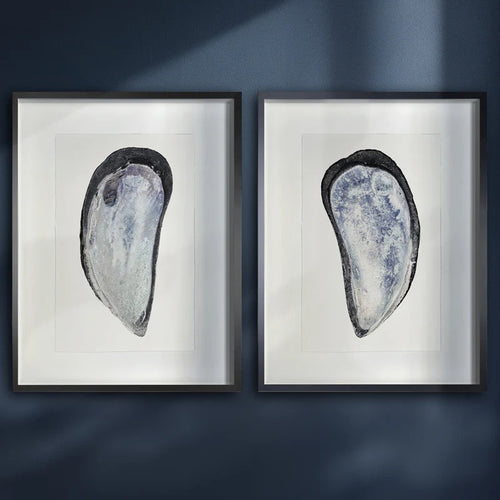 framed art prints of mussel shells